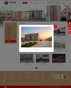 千隆食品攜手千助科技 以專業(yè)數(shù)據(jù)處理服務(wù)為核心的北京網(wǎng)站建設(shè)解決方案